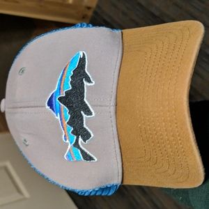 Patagonia trucker hat